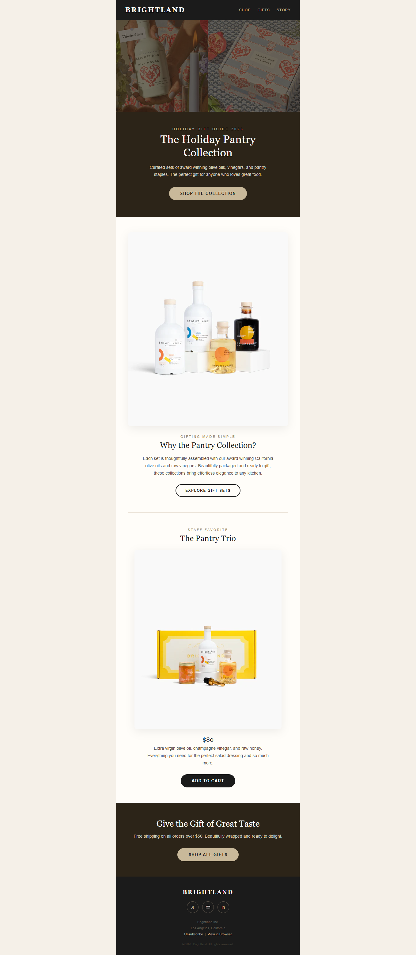 Brightland holiday newsletter email template preview