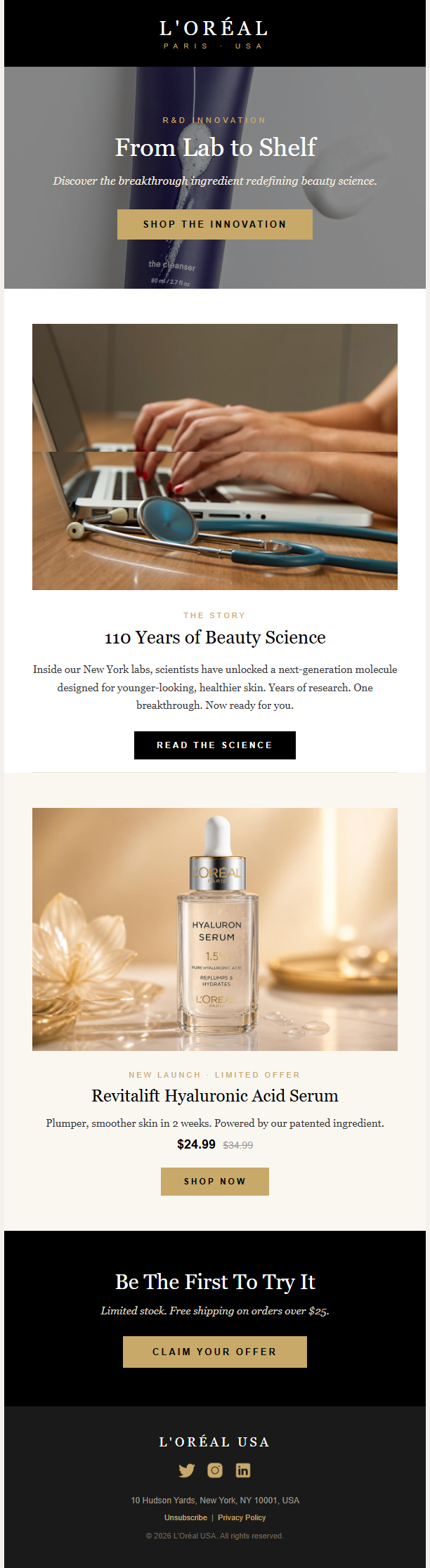 Updated L’Oréal newsletter template preview
