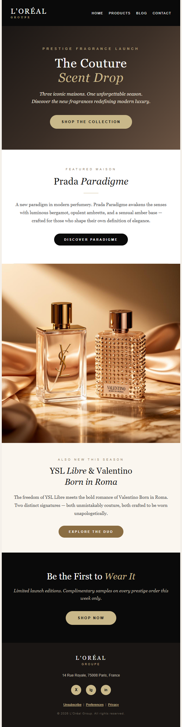 L’Oréal newsletter template preview