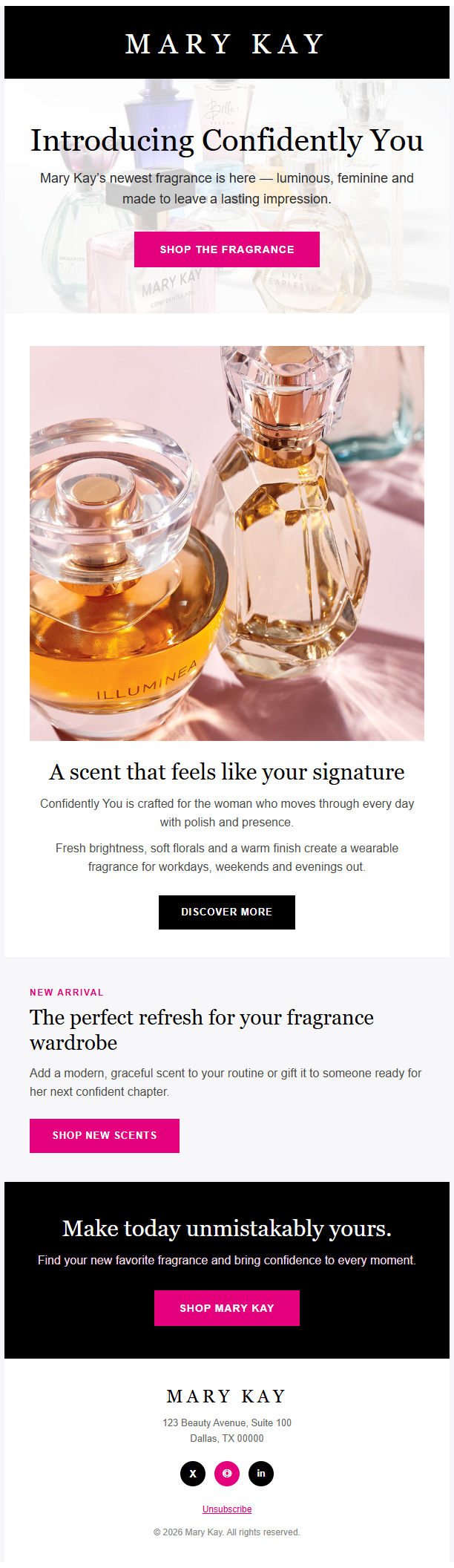 Mary Kay newsletter template preview